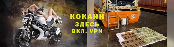кокс Богородицк