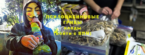 СК Покачи